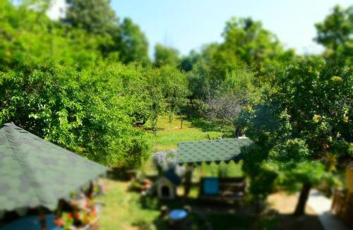 Horezu House | Casa Smeilor Horezu