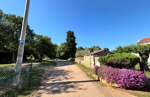 Babici Villa | Casa Viva