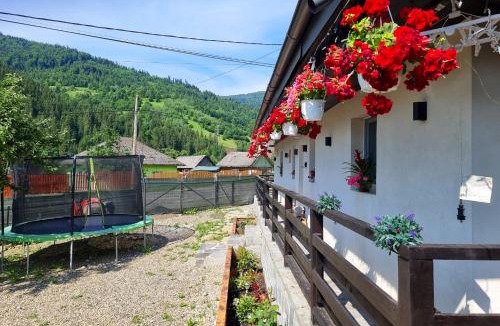 Poiana Teiului House | Casuta de Vacanta Poiana