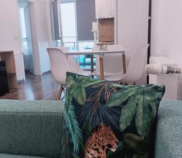 Oradea Apartment | Christopher Apartment
