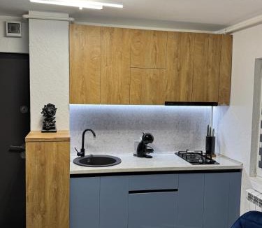 Petrosani Apartment | Cloud Express