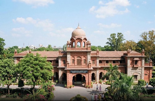 Ludhiana Hotel | Collection O by OYO City Center Ludhiana