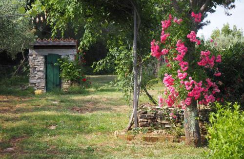 Buje House | Cottage Casa Vinela