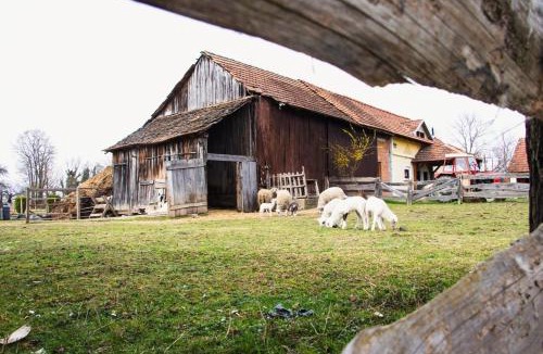 Molve Bed & Breakfast | Country House Ivančan