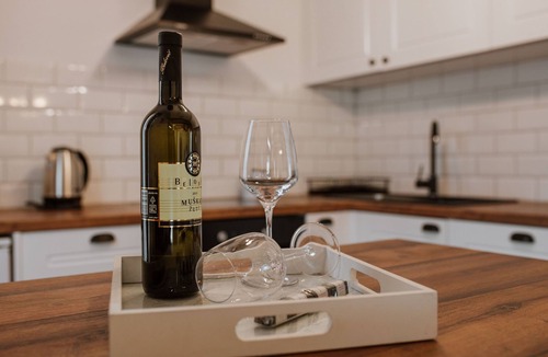 Gornji Mihaljevec House | Countryside home with jacuzzi near vineyards and thermal spa.