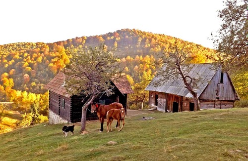 Saliste Cabin | COZO FANTU mountain hut in the Transylvanian Carpathian Mountains Romania