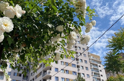 Vitan Apartment | Cozy 1-bedroom apartment in Bucharest with AC, 2.5 min to Mihai Bravu metro