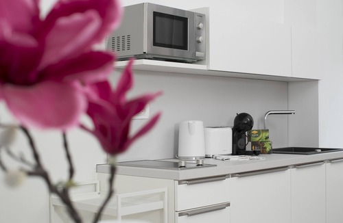 Ljubljana City Centre Apartment | Cute apartment in Ljubljana. Traffic free street. 1 minute to Dragon Bridge.