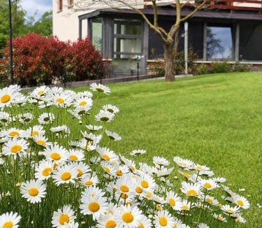 Lokev Apartment | Daisy