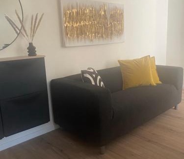 Piatra Neamt Apartment | Dana Apartment