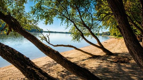 Erdut Villa | Danube Escape with Jacuzzi, Pool & Spacious Yard by Destination GREEN Croatia