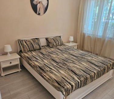 Turnu Magurele Apartment | Dary Apartment