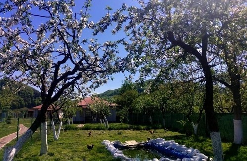 Viisoara House | Desculti prin iarba- la 6,6 km de centrul Piatra Neamt