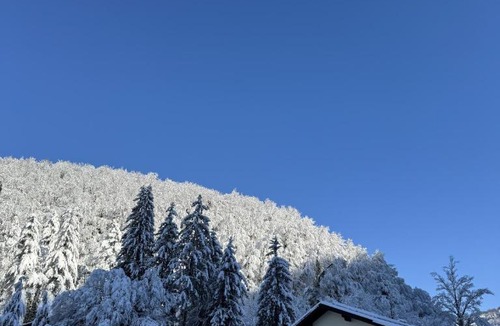 Breznik Plesivicki Hotel | Divlje vode