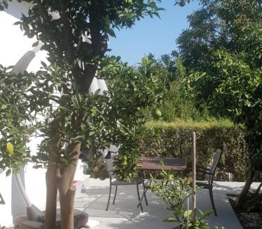 Loviste Apartment | DOWNTOWN GARDEN