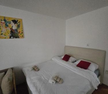 Old Town Apartment | Drvenija old town free parking 2 cars quietly warm all walk distance