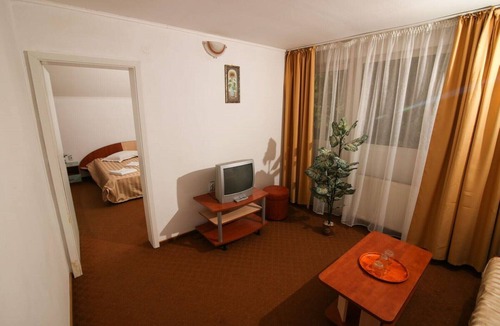 Predeal Hotel | Economy Double Room, Mountain View