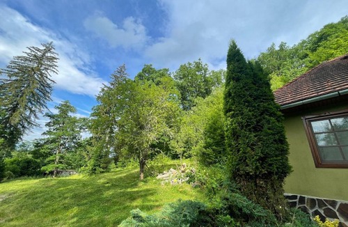 Bradut House | Esigman - log cabin in Transylvania