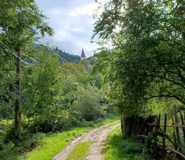 Saliste House | Fântânele Vacation Home, Charming Rustic Home