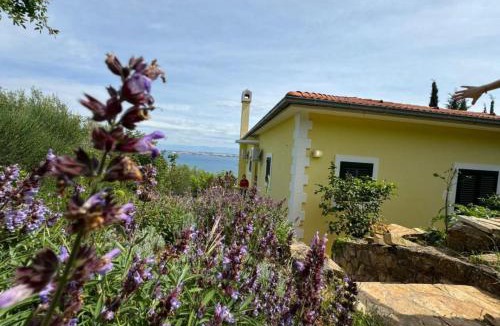 Muline Apartment | Family Apartment Sofija