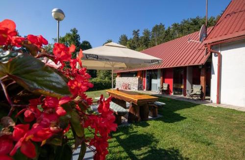 Lic Apartment | Family-friendly apartments with swimming pool Lic, Gorski kotar - 23685