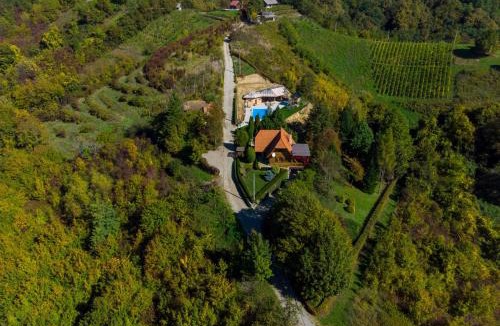 Donja Voca House | Family friendly house with a swimming pool Gornja Voca, Zagorje - 11873