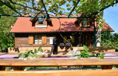 Sveti Ivan Zelina House | Family friendly house with a swimming pool Sveti Ivan Zelina, Prigorje - 20657