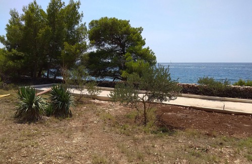 Cove Osibova (Milna) House | Family house Futura