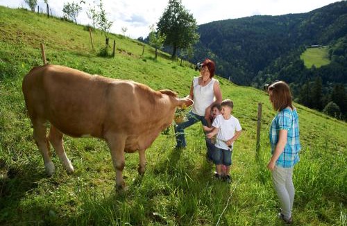 Prevalje House | Farm Stay Gradišnik Peaceful Countryside with Homemade Breakfast