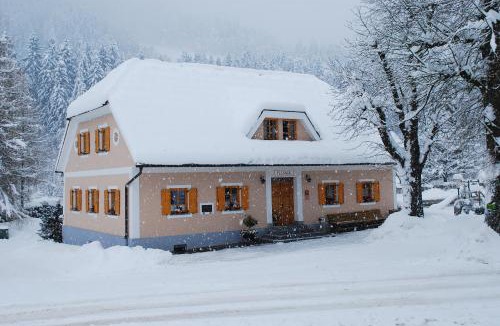 Slovenj Gradec House | Farm Stay Rotovnik - Plesnik