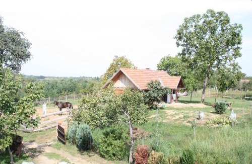 Durdevac House | Farmica, Bed&Breakfast, Bazen izdvojen nekoliko minuta hoda