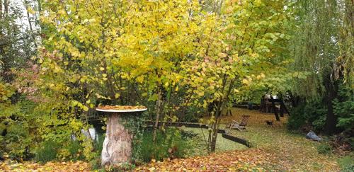 Rakitje Villa | Forest Art Villa Zagreb