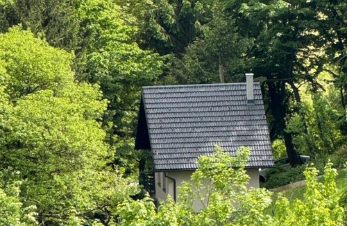 Duga Resa House | Forest Magic