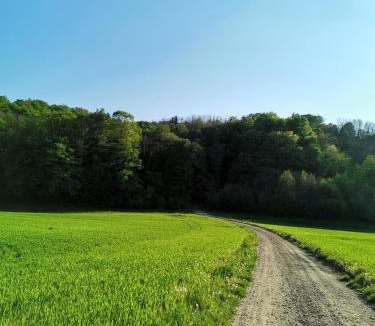 Koprivnica House | Forest paradise