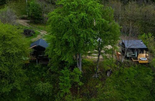 Daesti Villa | ForestView