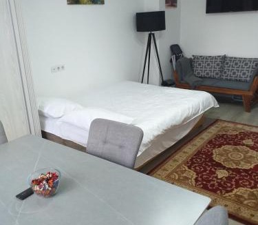Sighetu Marmatiei House | Fully Furnished Studio