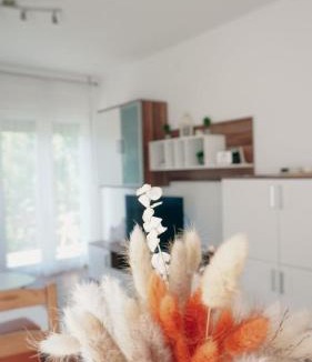 Licko Lesce Apartment | Gacka idila