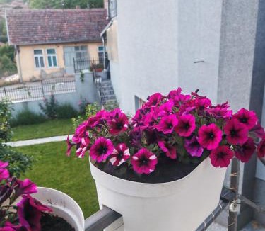 Stara Planina Apartment | Gaga
