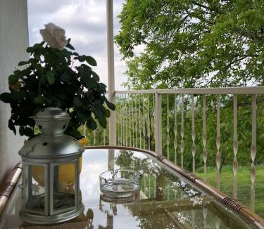 Popovac House | Goldberg - Apartman Lana