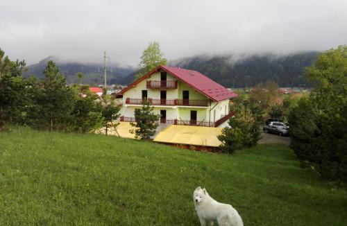 Bucsoaia House | Grandemi Belvedere Bucovina