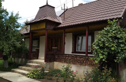Miroslovesti House | Grandma's house/ Casa bunicii