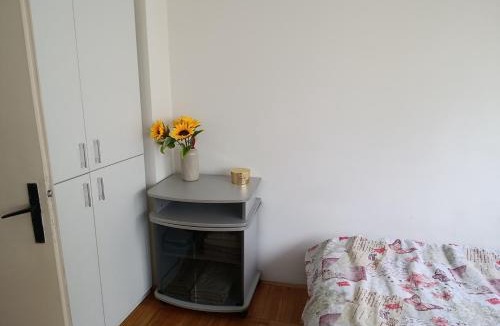 Valjevo Apartment | Gray
