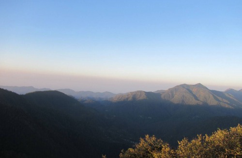 Gagar Cottage | Great Escape Homestay - Bosky Cottage in Gagar at 7500 ft
