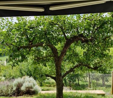Bedekovcina House | GREENHILLS Relax & Holiday House