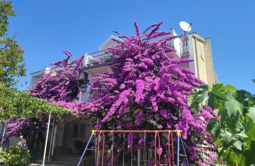 Drage House | Guest House Neda