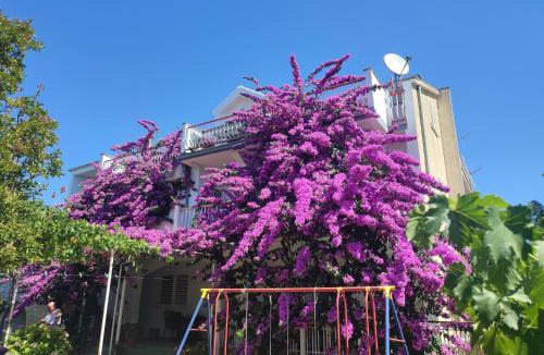 Drage House | Guest House Neda