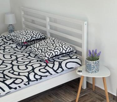 Stari Banovci House | Hedona227