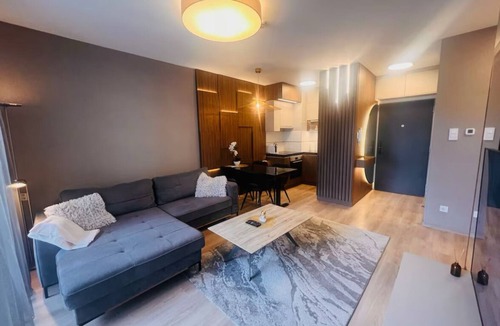 Aviatiei Apartment | Herastrau Modern Apartment
