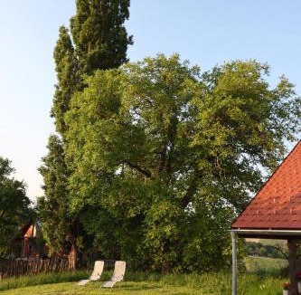 Kog House | Hiška pod Klumpo