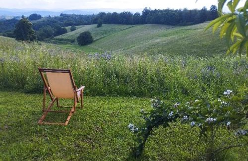 Cetingrad House | Holiday Home Dandelion with Hot Tub & Sauna